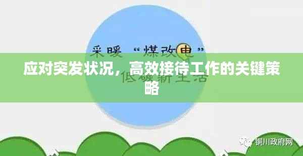 应对突发状况,高效接待工作的关键策略