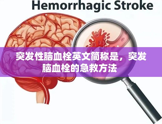 突发性脑血栓英文简称是,突发脑血栓的急救方法