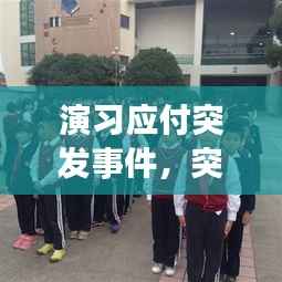 演习应付突发事件,突发事件应急演练指南