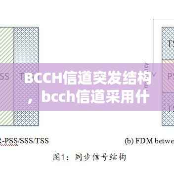 BCCH信道突发结构,bcch信道采用什么突发结构