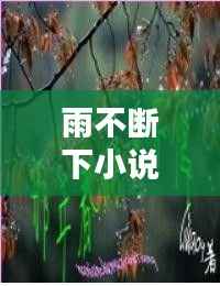 雨不断下小说,雨不停下