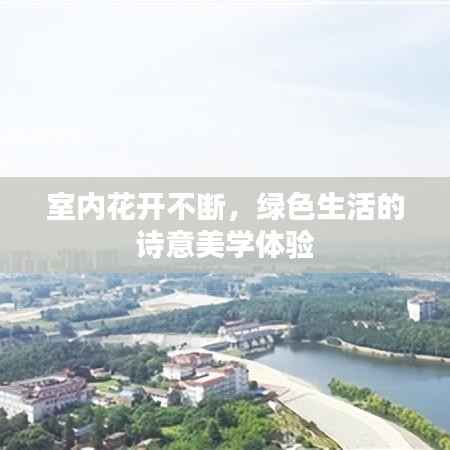 室内花开不断,绿色生活的诗意美学体验