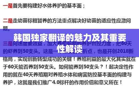 韩国独家翻译的魅力及其重要性解读