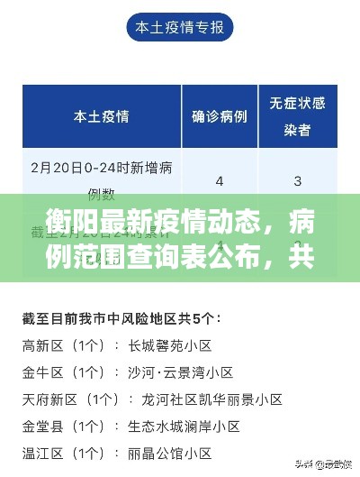 衡阳最新疫情动态,病例范围查询表公布,共同守护你我他的健康