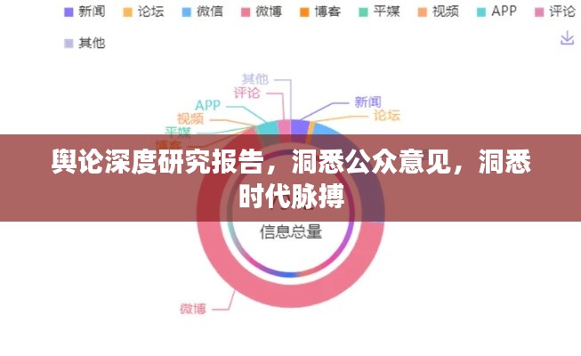 舆论深度研究报告,洞悉公众意见,洞悉时代脉搏