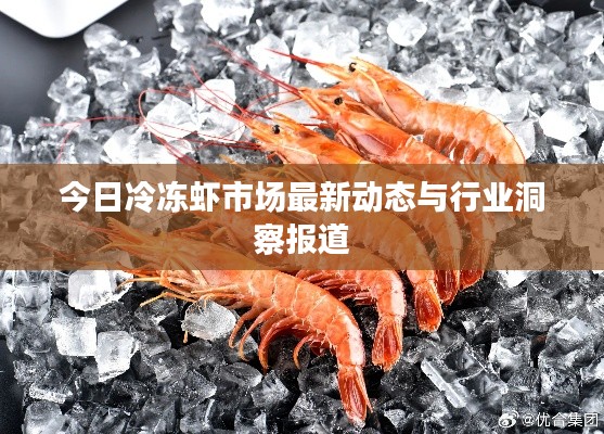 今日冷冻虾市场最新动态与行业洞察报道