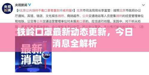 铁岭口罩最新动态更新,今日消息全解析