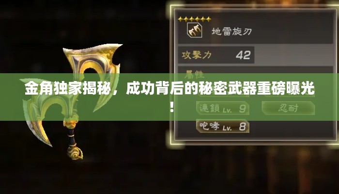 金角独家揭秘,成功背后的秘密武器重磅曝光!