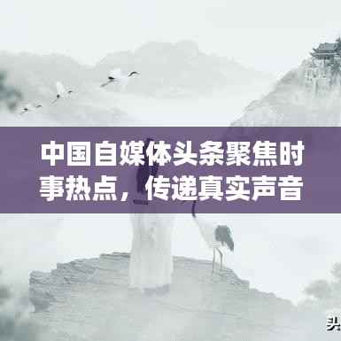 中国自媒体头条聚焦时事热点,传递真实声音,洞悉天下事