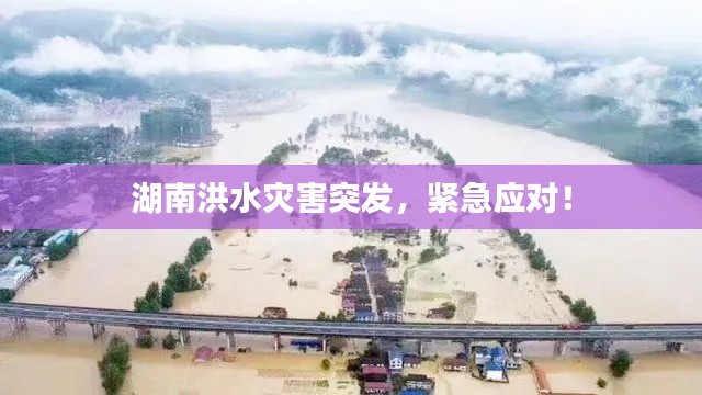湖南洪水灾害突发,紧急应对!