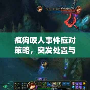 疯狗咬人事件应对策略，突发处置与预防方法