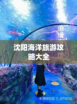 沈阳海洋旅游攻略大全