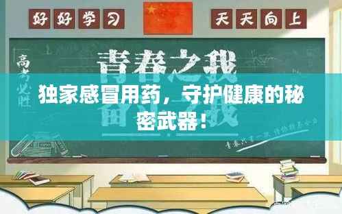 独家感冒用药,守护健康的秘密武器!