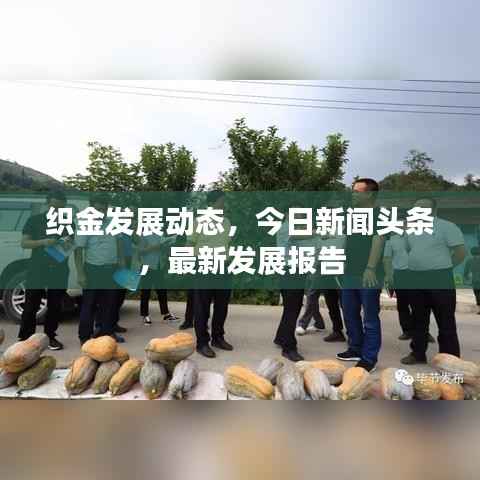 织金发展动态,今日新闻头条,最新发展报告