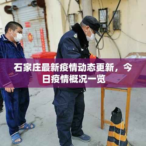 石家庄最新疫情动态更新,今日疫情概况一览