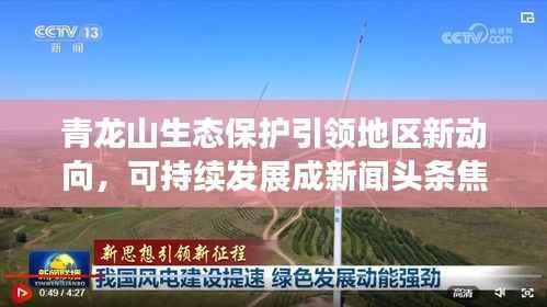 青龙山生态保护引领地区新动向,可持续发展成新闻头条焦点