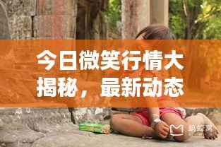 今日微笑行情大揭秘,最新动态与走势分析