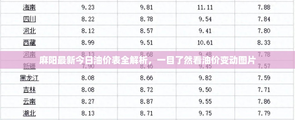 麻阳最新今日油价表全解析,一目了然看油价变动图片