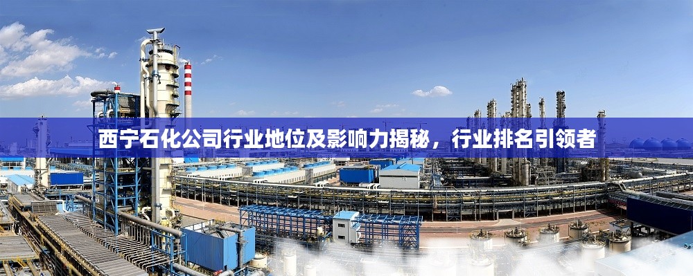 西宁石化公司行业地位及影响力揭秘,行业排名引领者