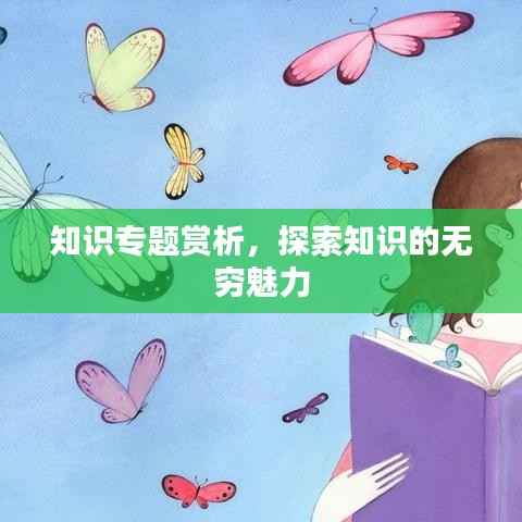 知识专题赏析,探索知识的无穷魅力