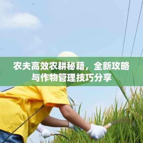 农夫高效农耕秘籍,全新攻略与作物管理技巧分享