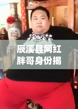 辰溪县网红胖哥身份揭晓，最新动态全面关注