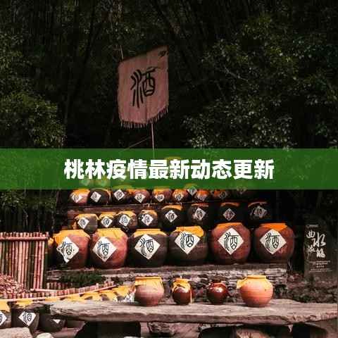桃林疫情最新动态更新