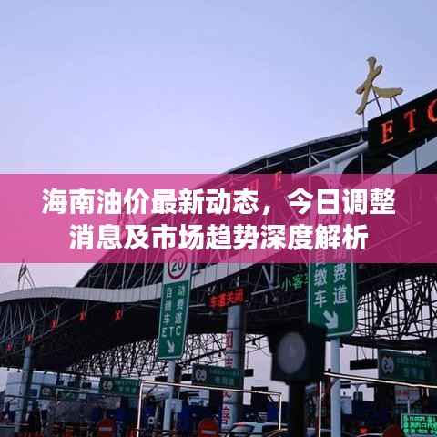 海南油价最新动态,今日调整消息及市场趋势深度解析