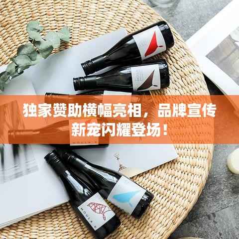 独家赞助横幅亮相,品牌宣传新宠闪耀登场!