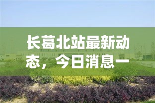 长葛北站最新动态,今日消息一览