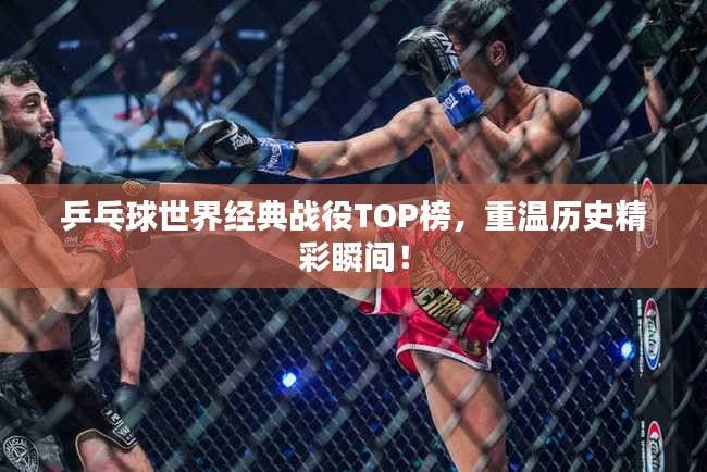 乒乓球世界经典战役TOP榜,重温历史精彩瞬间!