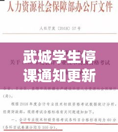 武城学生停课通知更新,最新公告及影响分析