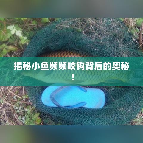 天荒地老 第2页