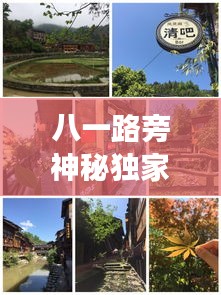 八一路旁神秘独家小院,探秘独特风情,百度热推好去处!