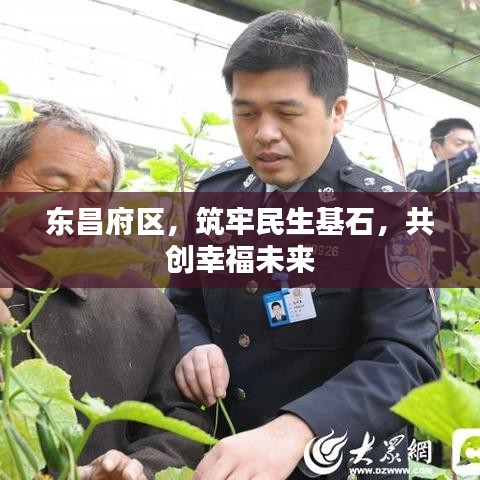 东昌府区，筑牢民生基石，共创幸福未来