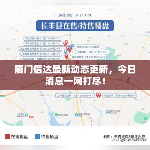 厦门信达最新动态更新,今日消息一网打尽!