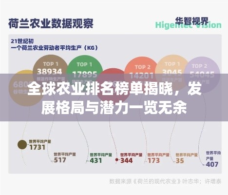 全球农业排名榜单揭晓,发展格局与潜力一览无余