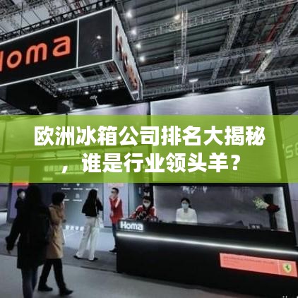 欧洲冰箱公司排名大揭秘,谁是行业领头羊?