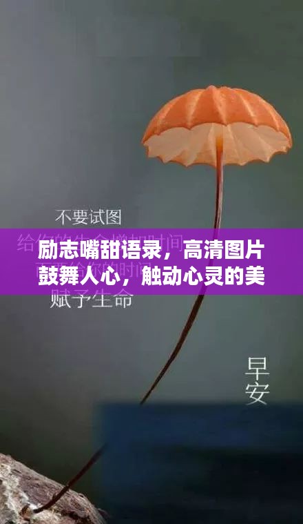 励志嘴甜语录,高清图片鼓舞人心,触动心灵的美好言辞