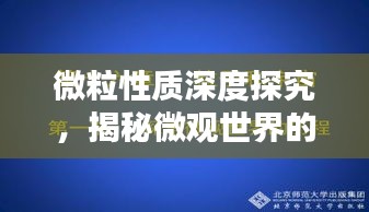 微粒性质深度探究，揭秘微观世界的奥秘