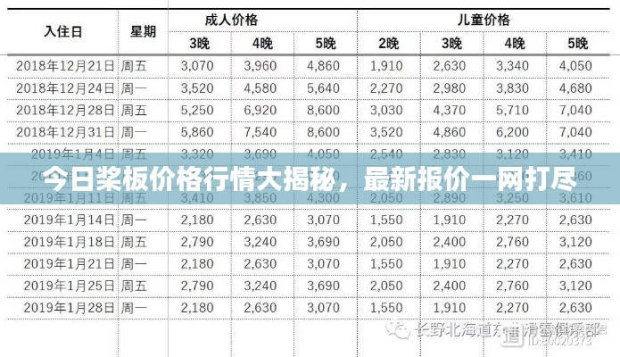 今日桨板价格行情大揭秘,最新报价一网打尽